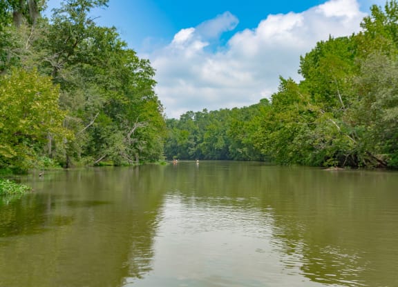 the river with trees on both sides and a blue sky with white clouds at Residence at Riverwatch, Georgia