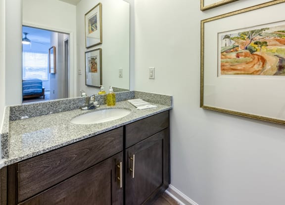 a bathroom with a sink and a mirror at Retreat at Arden Farms, Arden, NC 28704