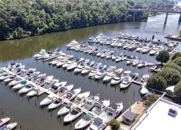 a marina filled with boats on a river at Rivergate, Virginia