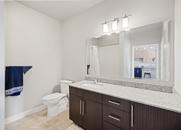 a bathroom with a large mirror and a toilet at Rivergate, Virginia