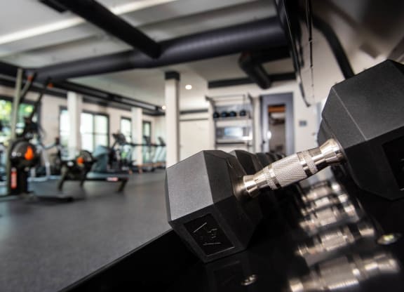 Free Weights at One Riverside Apartments, Chattanooga, 37403