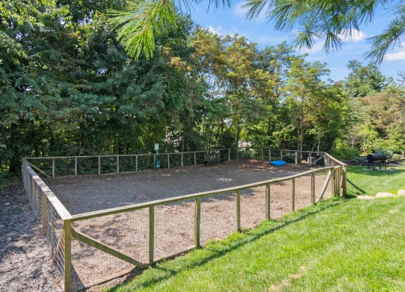 the fenced in backyard of a home with a dog kennel at Skyloft, Asheville, North Carolina