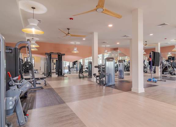 A gym with a variety of equipment including treadmills, weights, and a television.