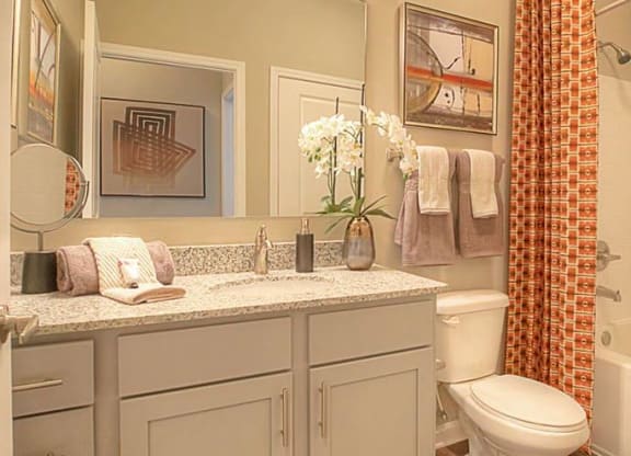 a bathroom with a sink and a toilet and a shower
