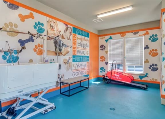 a therapy room with orange walls and blue flooring at Artistry at Winterfield Apartments, Midlothian ,23112
