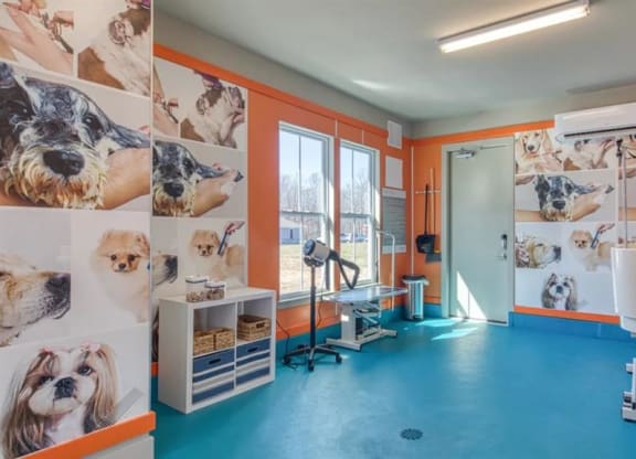 a room with orange walls and a blue floor at Artistry at Winterfield Apartments, Midlothian, VA, 23112