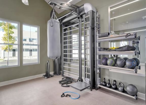 a home gym with a punching bag hanging from the ceiling at Artistry at Winterfield Apartments, Midlothian