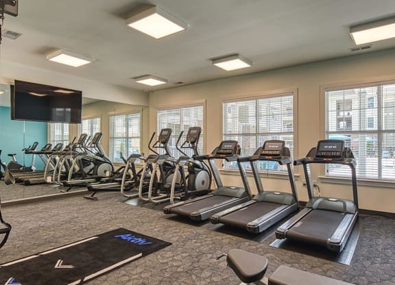 Cardio Machines at Sapphire at Centerpointe, Virginia