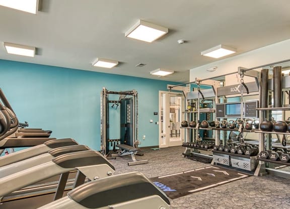 Fitness Center at Sapphire at Centerpointe, Virginia, 23114