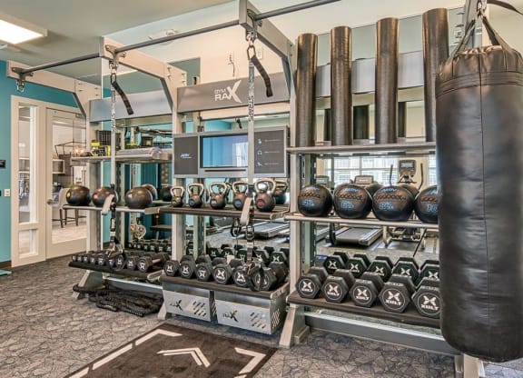 Fitness Center With Modern Equipment at Sapphire at Centerpointe, Midlothian, VA, 23114