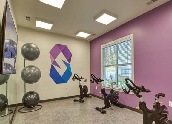 Peloton Bike And Training Space at Sapphire at Centerpointe, Virginia, 23114