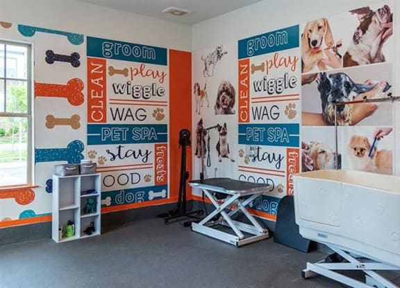 Pet washing station at 2000 West Creek Apartments, Virginia, 23238
