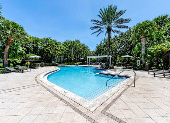 A pool surrounded by palm trees and lounge chairs.