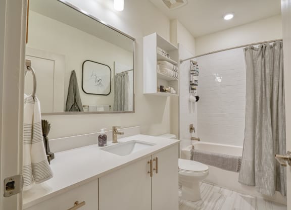 a bathroom with a shower toilet and sink and a mirror at Vista Brooklynn Apartments, Jacksonville, 32202
