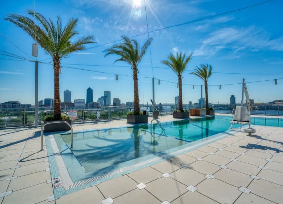 a rooftop pool with palm trees and a city in the background at Vista Brooklynn Apartments, Jacksonville