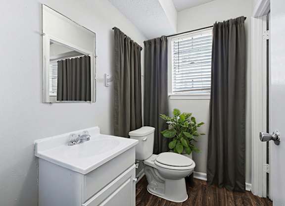 A white sink and toilet in a bathroom with a mirror and a plant.