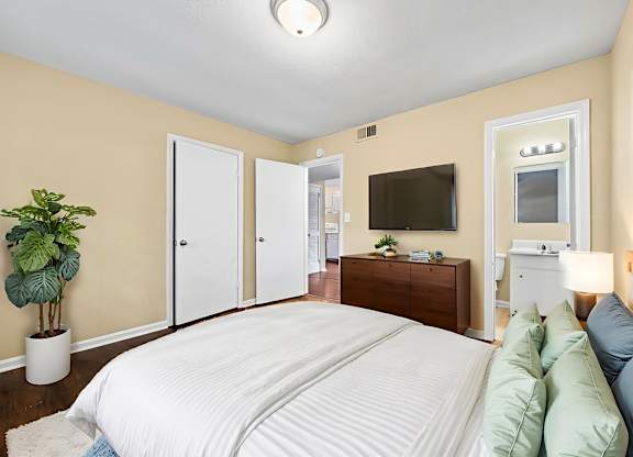 A bedroom with a large bed, a TV, and a plant.