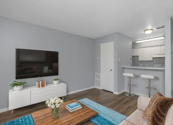 Classic Living Room With TV at Lifestyle at Shreveport Apartments, Louisiana, 71109