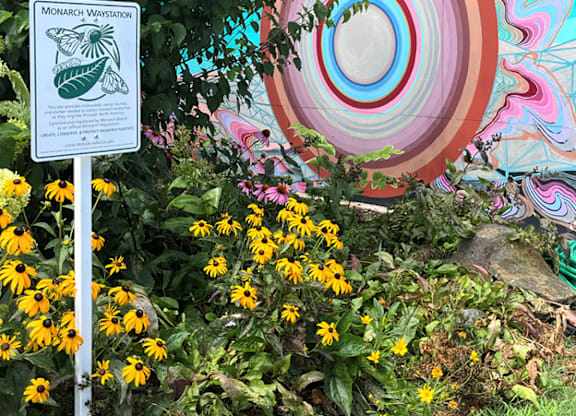 A Monarch Butterfly garden sign is in front of a colorful mural.