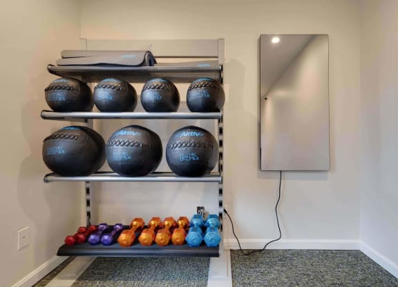 Free Weights at Station JTown, Louisville, 40299