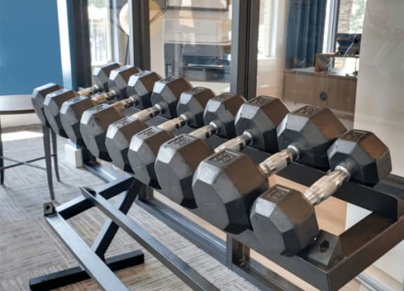 a row of weights in a gym at Enclave at Breckenridge Apartments, Kentucky