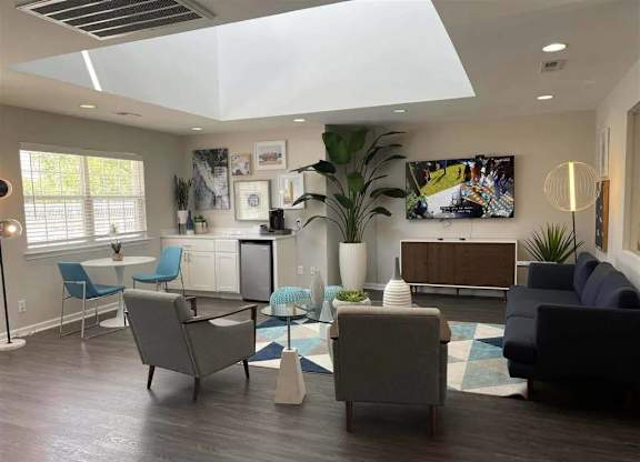 A living room with a grey sofa, a grey armchair, a blue chair, a TV, a plant, and a rug.