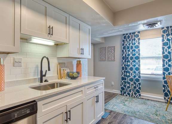 A kitchen with a sink, a dishwasher, and a potted plant.