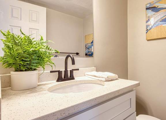 A bathroom with a sink, a potted plant, and two paintings on the wall.