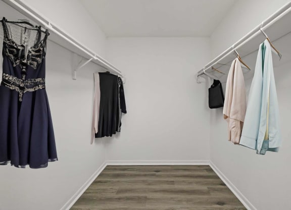 a closet with clothes hanging on a rack and a dress hanging on the wall