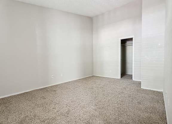 Plush Carpeting at Anson at North Hills, North Carolina