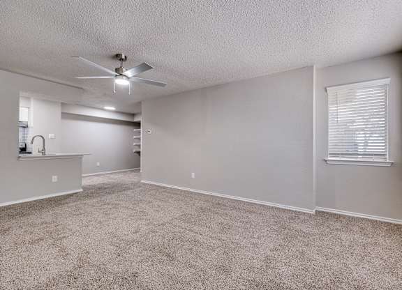 A room with a carpeted floor and a ceiling fan.