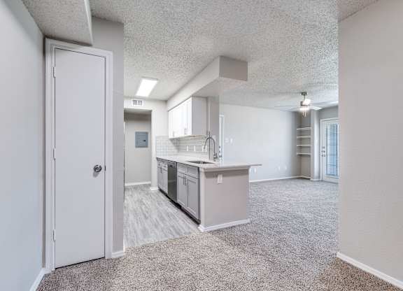 A kitchen area with a white door and a countertop.