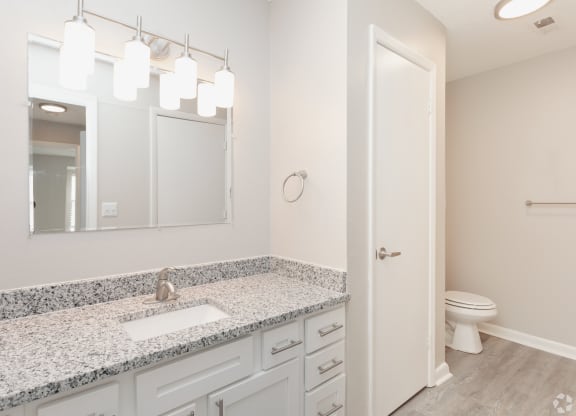 a bathroom with a sink and a toilet and a mirror