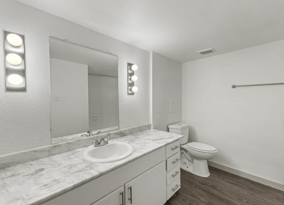 a bathroom with a sink and a toilet and a mirror
