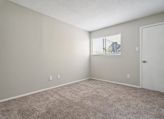 A room with a carpeted floor and a window letting in light.
