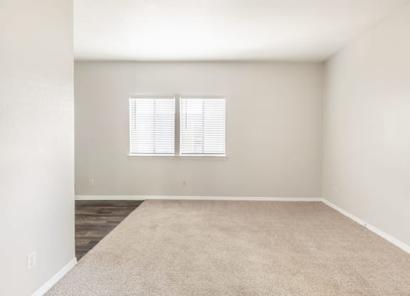 A room with a carpeted floor and a window with blinds.