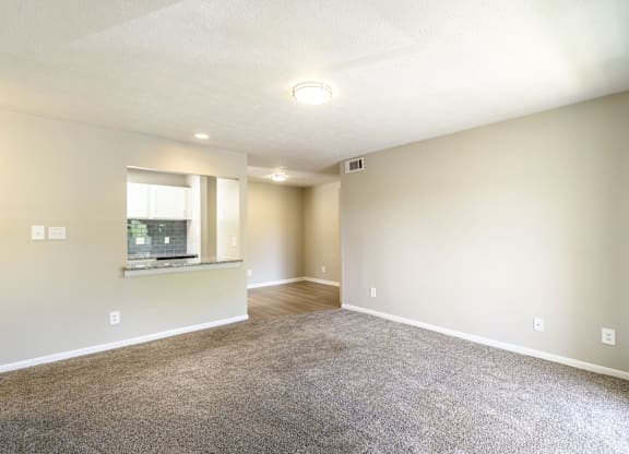 A spacious room with a window and carpeted floor.