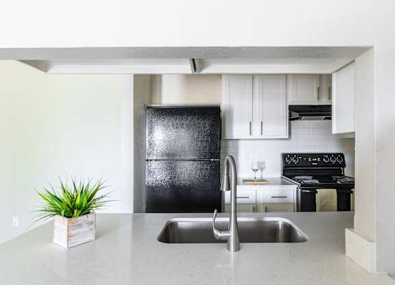 Kitchen Appliances at Leander, Texas