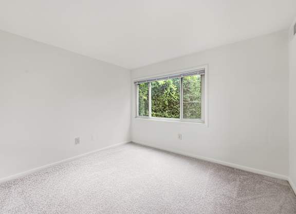 A room with a window and a carpeted floor.