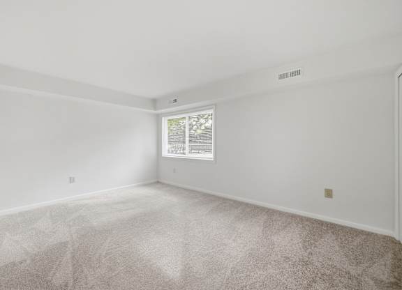 A room with a carpeted floor and a window.