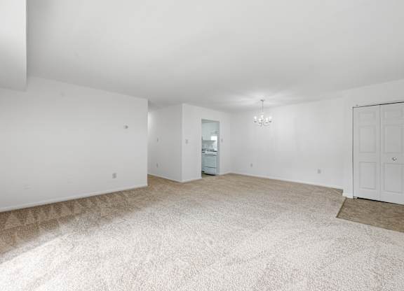 A white room with a carpeted floor and a door in the middle.