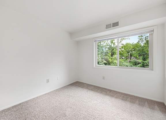A room with a window showing trees outside.