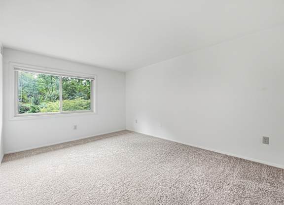A room with a carpeted floor and a window showing greenery outside.