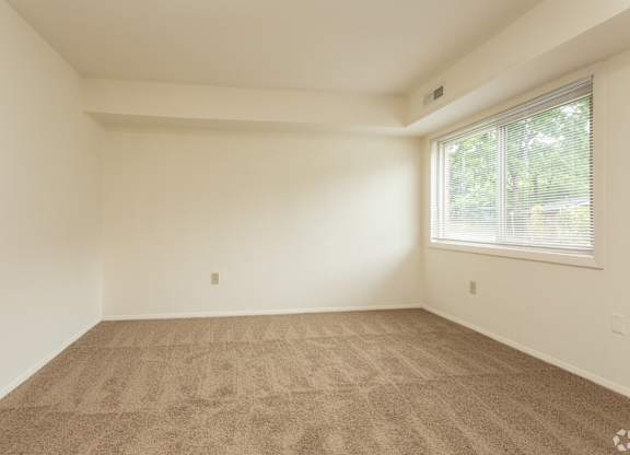 Empty room with carpeted floor and a window.