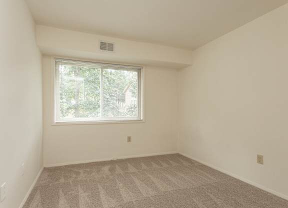 A room with a carpeted floor and a window.