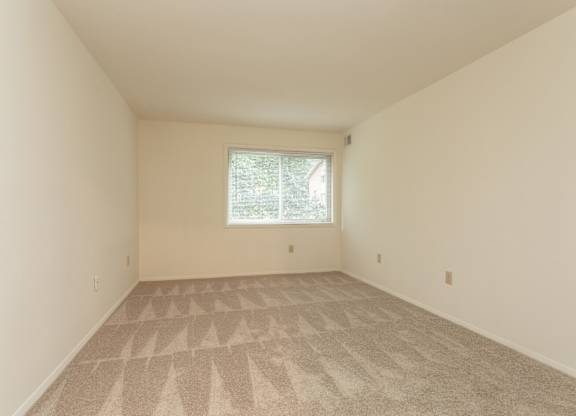 A room with a carpeted floor and a window.