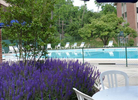 A pool surrounded by trees and chairs under a blue umbrella.