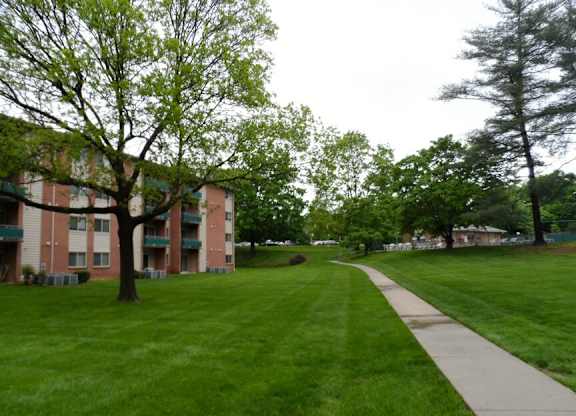 A tree stands in front of apartment buildings.