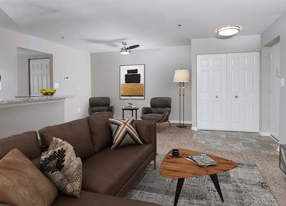 brown couch in living room