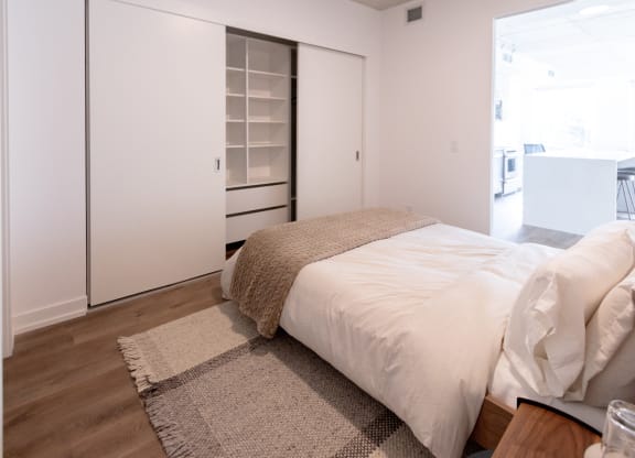 a bedroom with a large bed and a closet